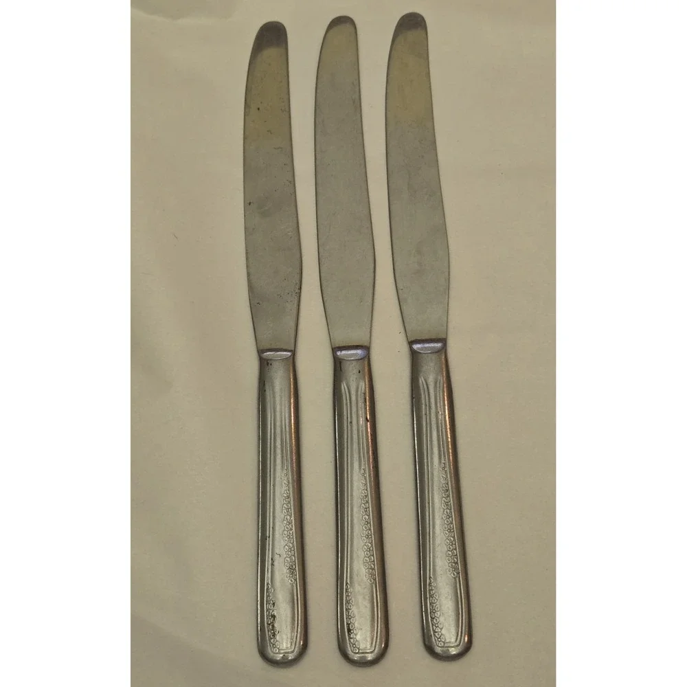 Lot Of 3‎ National Stainless NS Co Dinner Knives Flower Glossy - Unknown Pattern
